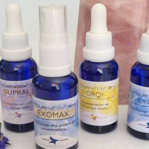 Journée Perfectionnement Ile de la Réunion