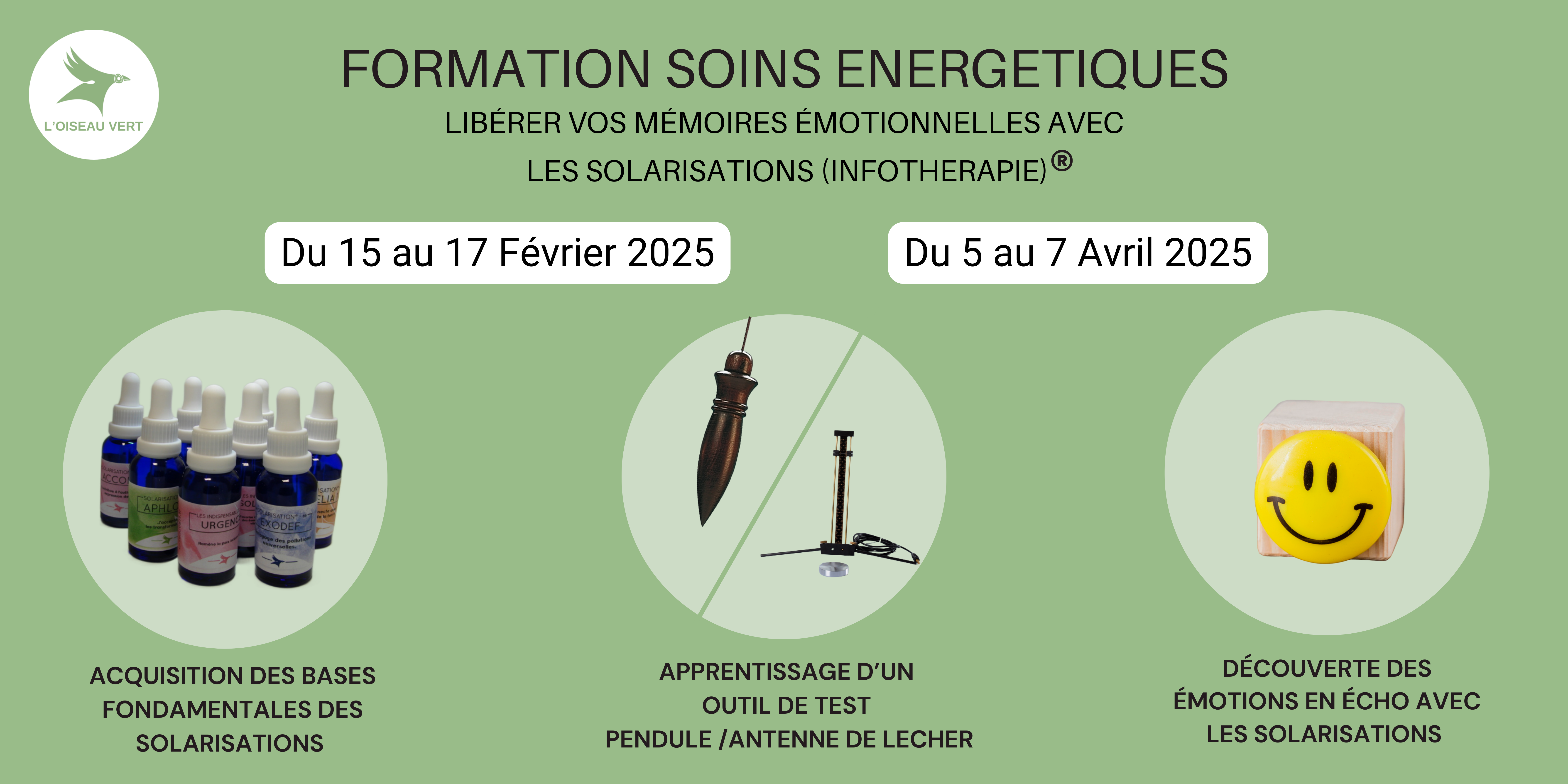 https://loiseauvert.fr/wp-content/uploads/2024/09/formation-2025.png